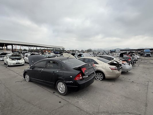 th IMG 0883