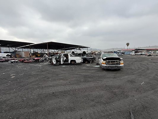 th IMG 0956