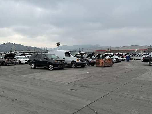 th IMG 1041