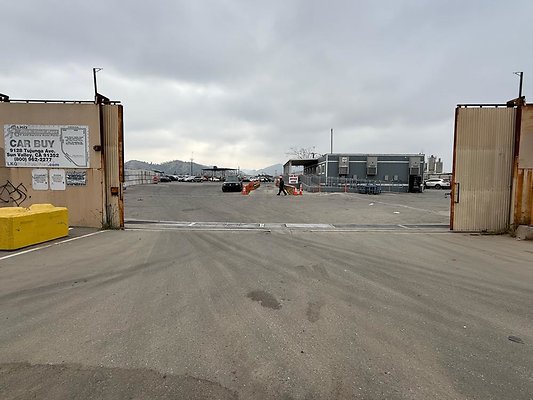 th IMG 1065
