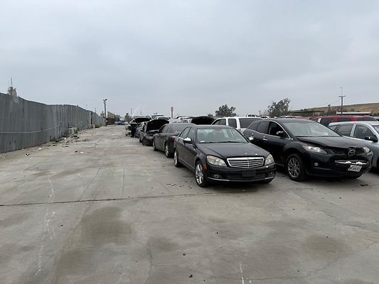 th IMG 1004