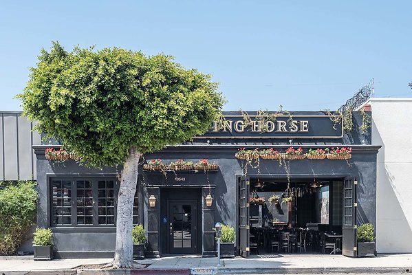 Stalking Horse