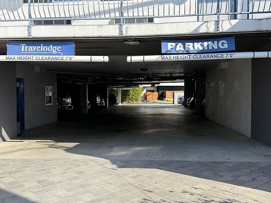 IMG 7864