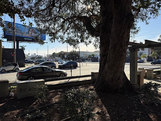 Photo May 10 2025, 5 40 34 PM