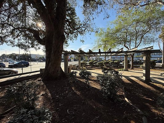 Photo May 10 2025, 5 40 38 PM