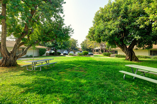 UNIVERSAL-C122-LA-31 UNIVERSAL-C122-LA-31