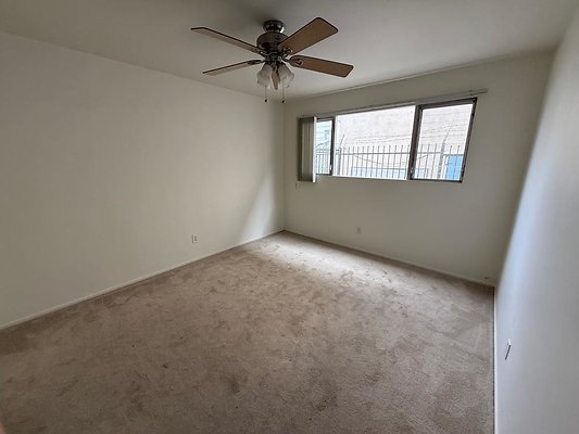 th IMG 0335 th IMG 0335