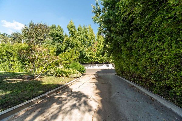 13851 reverse 1 13851 reverse 1