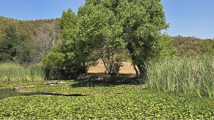 Sable Ranch