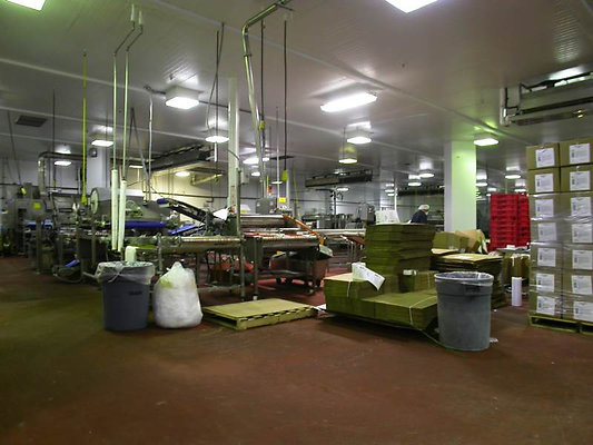 8525 factory 6