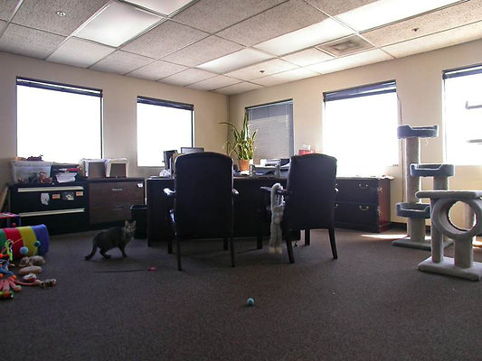 8525 office 6