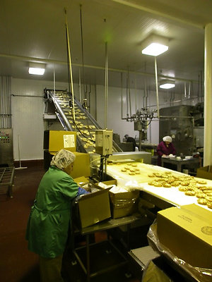 8525 factory 4
