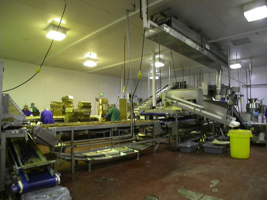 8525 factory 10