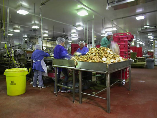 8525 factory 55 8525 factory 55