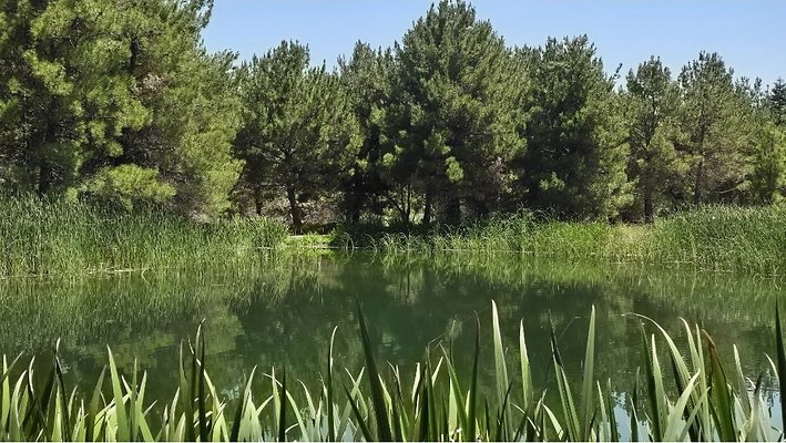 Screenshot 20250626 121100 Gallery