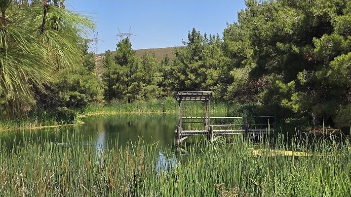 Screenshot 20250626 121032 Gallery