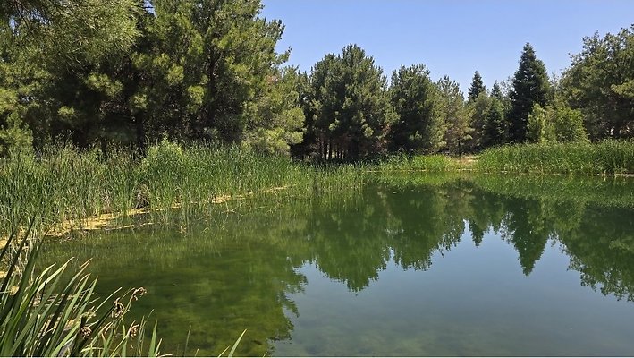 Screenshot 20250626 121142 Gallery