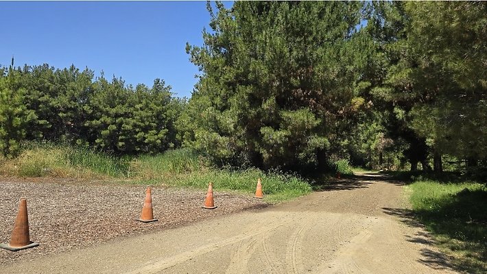 Screenshot 20250626 120927 Gallery