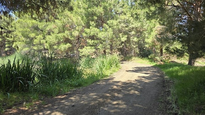 Screenshot 20250626 121249 Gallery