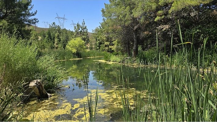 Screenshot 20250626 120938 Gallery