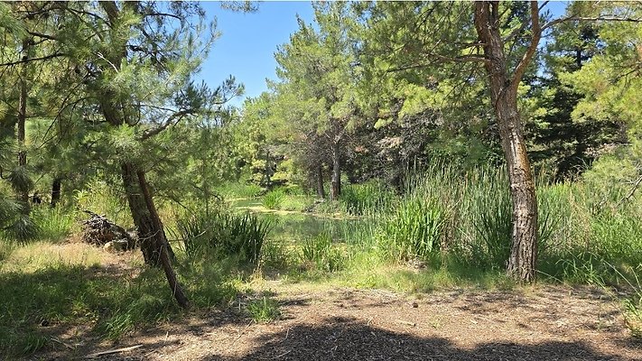 Screenshot 20250626 121000 Gallery