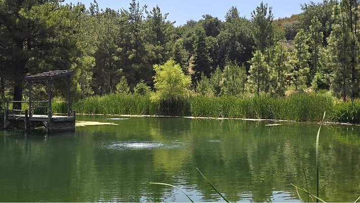 Screenshot 20250626 121050 Gallery