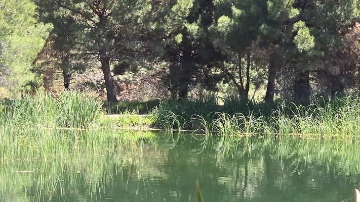 Screenshot 20250626 121116 Gallery