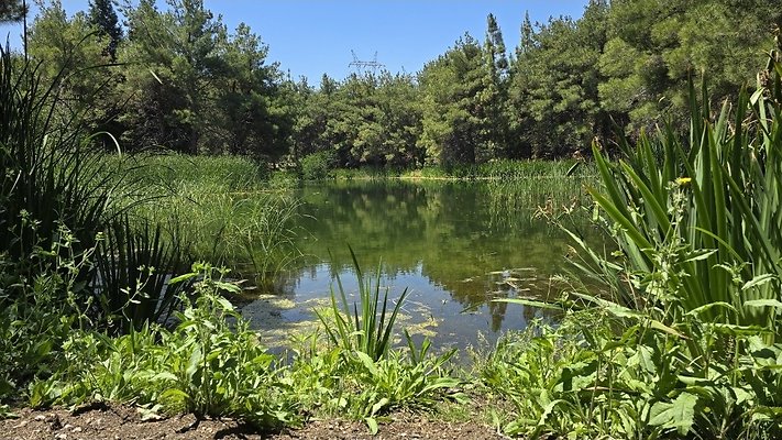 Screenshot 20250626 121212 Gallery