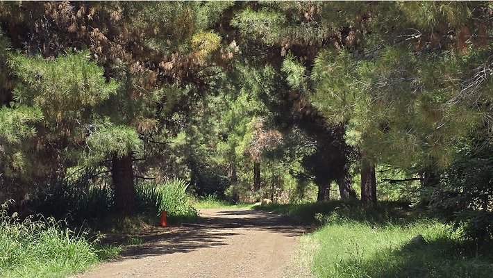 Screenshot 20250626 120902 Gallery