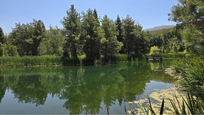 Screenshot 20250626 121133 Gallery