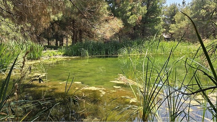 Screenshot 20250626 121155 Gallery