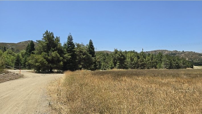 disney pine lake