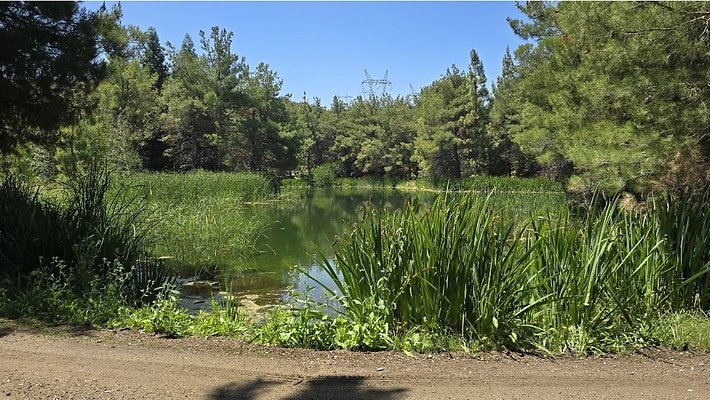 Screenshot 20250626 121227 Gallery