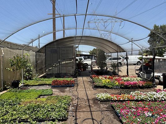 th IMG 1930 th IMG 1930