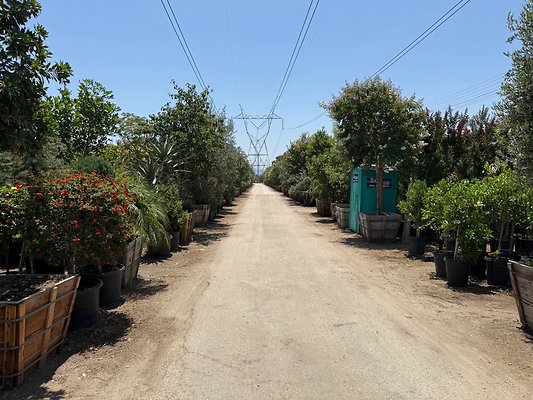 th IMG 1878 th IMG 1878