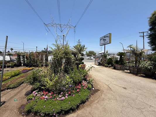 th IMG 1875 th IMG 1875