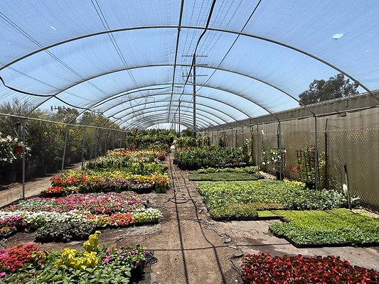 th IMG 1932 th IMG 1932