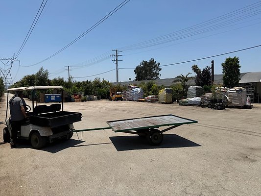 th IMG 1863 th IMG 1863