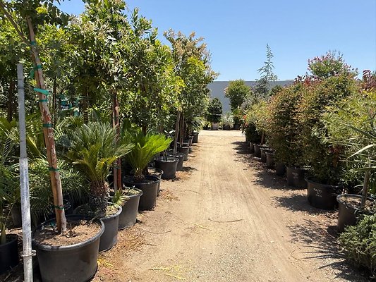 th IMG 1919 th IMG 1919