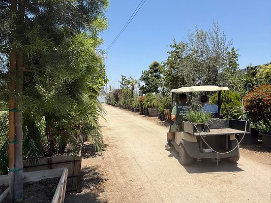 th IMG 1914 th IMG 1914