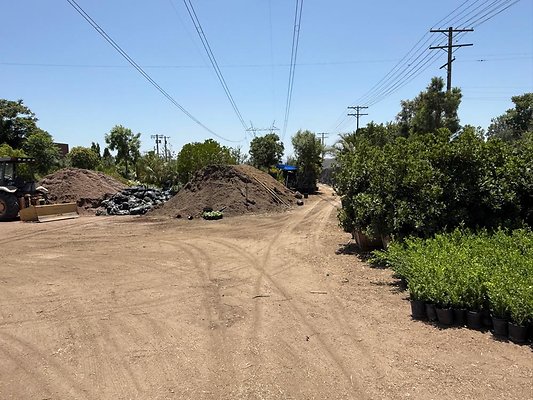 th IMG 1899 th IMG 1899