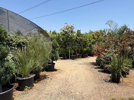 th IMG 1921 th IMG 1921