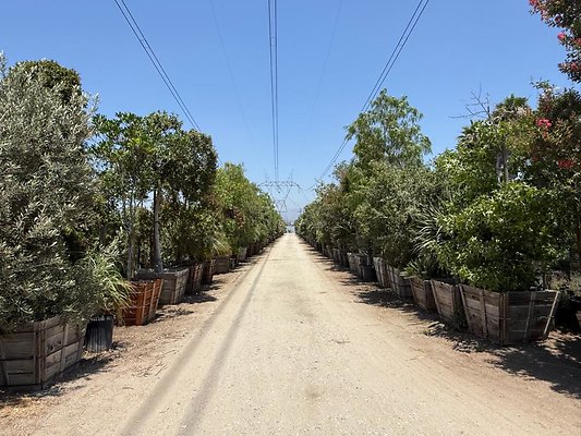 th IMG 1895 th IMG 1895