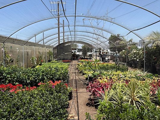 th IMG 1928 th IMG 1928