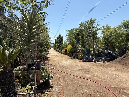 th IMG 1908 th IMG 1908