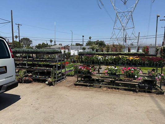 th IMG 1873 th IMG 1873