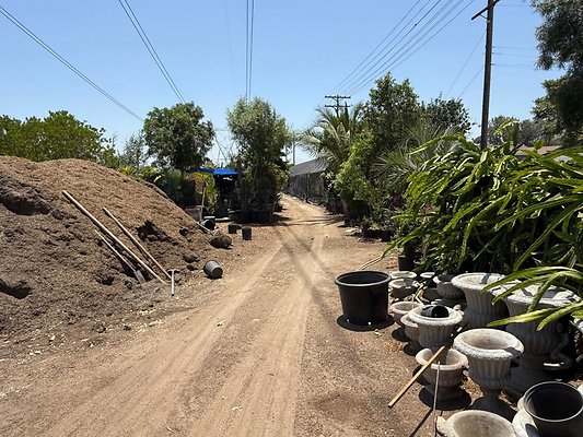 th IMG 1903 th IMG 1903