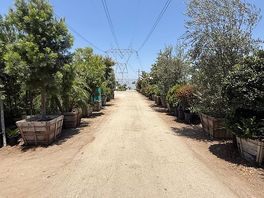 th IMG 1885 th IMG 1885