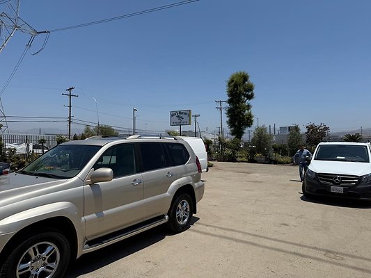 th IMG 1937 th IMG 1937