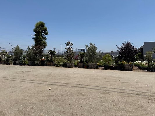 th IMG 1868 th IMG 1868